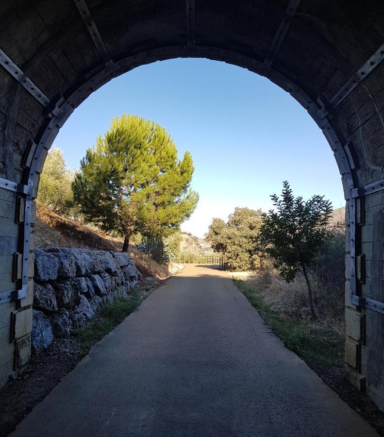 Olive Tree Bed And Breakfast Олвера Екстериор снимка